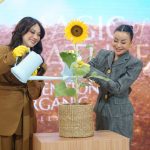 Bunga Citra Lestari (BCL) resmi didapuk sebagai Brand Ambassador produk perawatan tubuh organik premium Magic of Nature